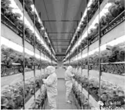 我國(guó)某地地形圖中溝谷地貌發(fā)育的主要原因分析